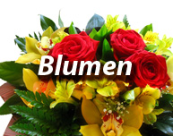 Blumen und Pflanzen