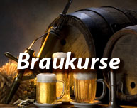 Bierbraukurs