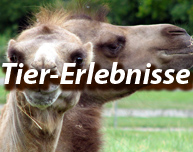 Erlebnisse mit Tieren