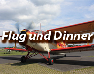 Flug und Dinner