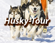 Huskies