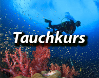 Tauchkurs - Schnuppertauchen